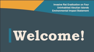 Rat eradication EIS public Scoping Banner