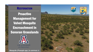 first page of handout