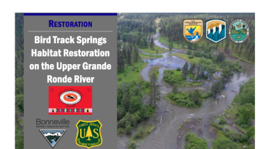 first page of handout