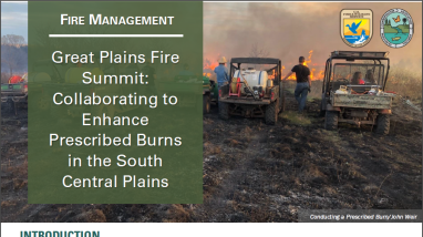 first page of handout