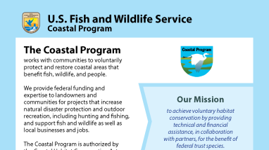 First page of the Coastal Program brochure that introduces the U.S. Fish and Wildlife Service - Coastal Program and provides program statistics.
