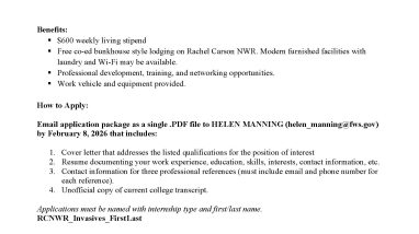 Two people working to remove invasive species