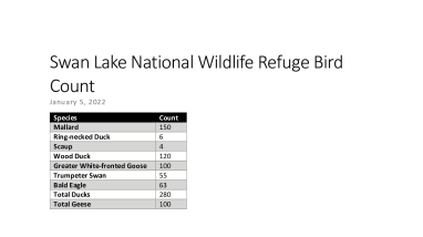 Swan Lake National Wildlife Refuge Bird Count Jan-5-2021