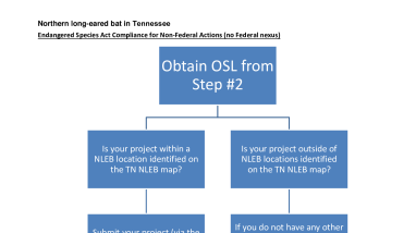 NLEB Non-Federal Actions Flowchart
