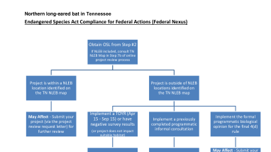 NLEB Federal Actions Flowchart