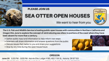 20200608_Sea Otter Open House All Flyer.pdf