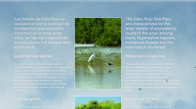 Variety of Ecosystems at the Cabo Rojo Salt Flats (Eng/Spa)