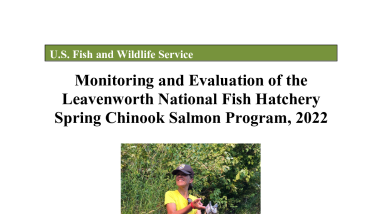 Monitoring and Evaluation of the Leavenworth National Fish Hatchery Spring Chinook Salmon Program, 2022