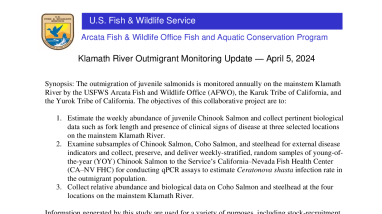  Name Klamath River Juvenile Salmon Outmigrant Monitoring Update - April 5, 2024