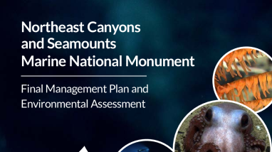 Volume Three: Northeast Canyons and Seamount Marine National Monument Appendices