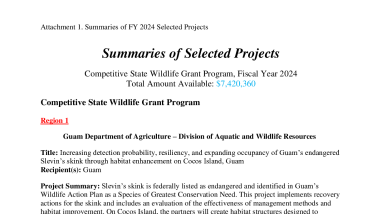 FY2024 C-SWG Selected Project Summary