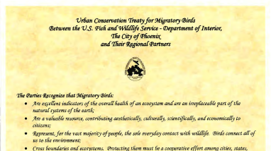 Signed Phoenix Urban Bird Treaty
