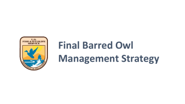 Final Barred Owl Management Strategy