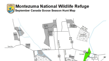 september-canada-goose-hunting-regulations-2024-montezuma-nwr