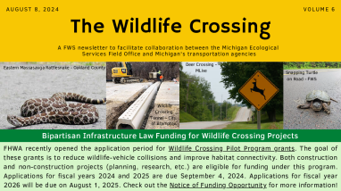 The Wildlife Crossing Volume 6