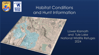 2024 Habitat Conditions