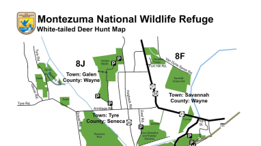 deer-hunting-regulations-2024-montezuma-nwr