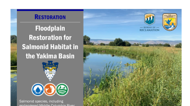 Floodplain Restoration Salmonid Habitat Handout