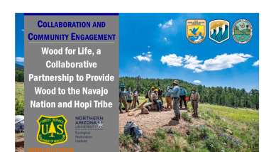 Wood for Life Handout