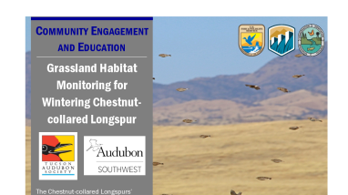 Habitat Monitoring for Wintering Longspur Handout