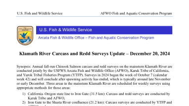 Klamath River Chinook Salmon Spawn Surveys Update - December 20, 2024