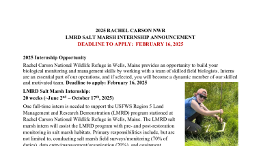2025 LMRD Saltmarsh Internship