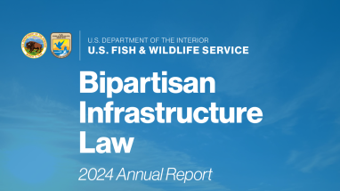 Bipartisan Infrastructure Law 2024 Annual Report
