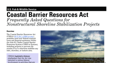 Frequently Asked Questions for Nonstructural Shoreline Stabilization Projects