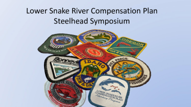 2025 ISRP Steelhead Review