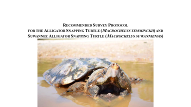 Trapping and Handling Protocol for the Alligator Snapping Turtle