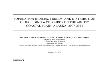 POPULATION INDICES, TRENDS, AND DISTRIBUTION OF BREEDING WATERBIRDS ON THE ARCTIC COASTAL PLAIN, ALASKA, 2007-2024