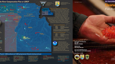 Lower Snake River Comp Plan Hatchery Brochures