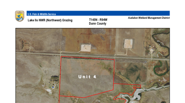 2025 Lake Ilo Grazing Map 2