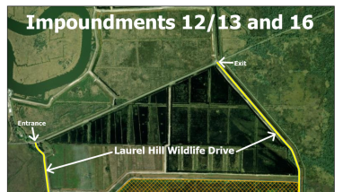 Savannah NWR Impoundment Project Map