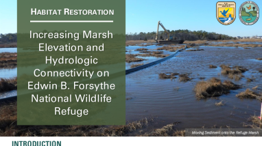 Increasing Marsh Elevation and Hydrologic Connectivity on Edwin B. Forsythe National Wildlife Refuge Case Study Handout