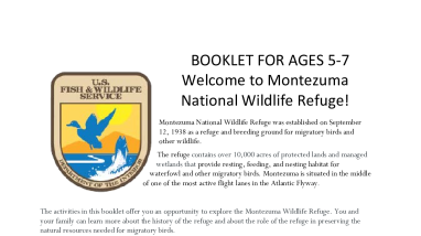 Montezuma's Junior Refuge Manager Activity Book (Ages 5-7)