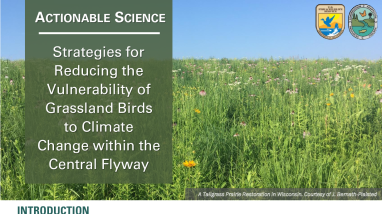 Strategies for Reducing the Vulnerability of Grassland Birds to Climate Change within the Central Flyway Case Study Handout