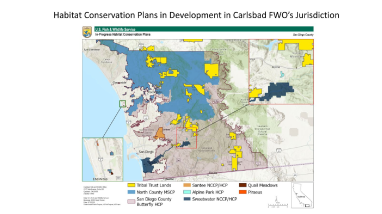 2025 Spring Tribal Coordination Meeting - Habitat Conservation Plan Update