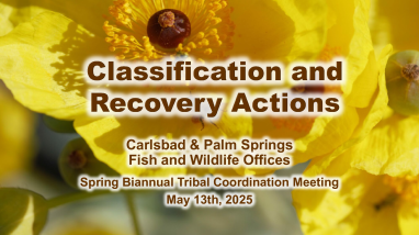 2025 Spring Tribal Coordination Meeting - Listing and Recovery Update