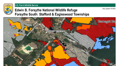 Eagleswood & Stafford Hunt Areas Edwin B. Forsythe National Wildlife Refuge