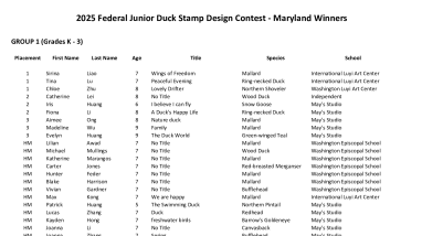 2025 Maryland Junior Duck Stamp Design Contest Winners