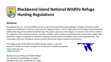 2025-26 Blackbeard Island NWR Hunting Regulations