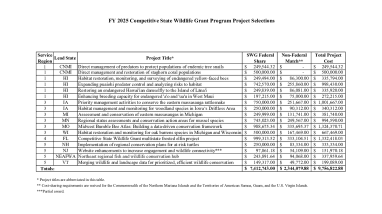 FY2025 C-SWG Projects Table