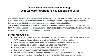 Blackwater NWR 2025-26 Waterfowl Hunt Regulations