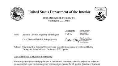Migratory Bird Banding Operations and Considerations During Confirmed HPAI Detections