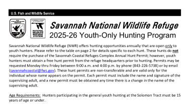 Savannah NWR Youth Hunting Information
