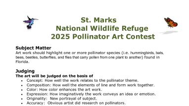 2025 Pollinator Art Contest Rules