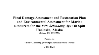 Final Damage Assessment and Restoration Plan and Environmental Assessment for Marine Resources for the M/V Selendang Ayu Oil Spill Unalaska, Alaska, July 2025