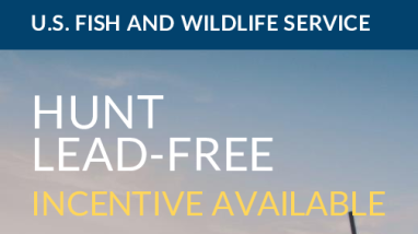 Hunt Lead Free Incentive Program
