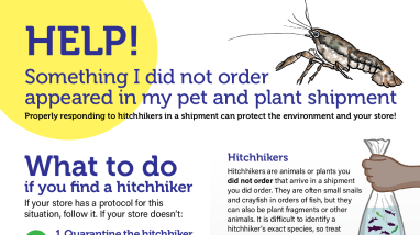 Pet Store Employee Guidance to Respond to Hitchhikers in Shipments